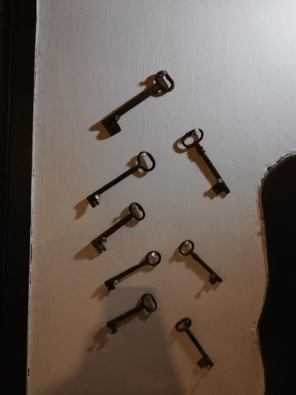 图尔古特雷斯考纳科酒店 萨夫兰博卢 外观 照片